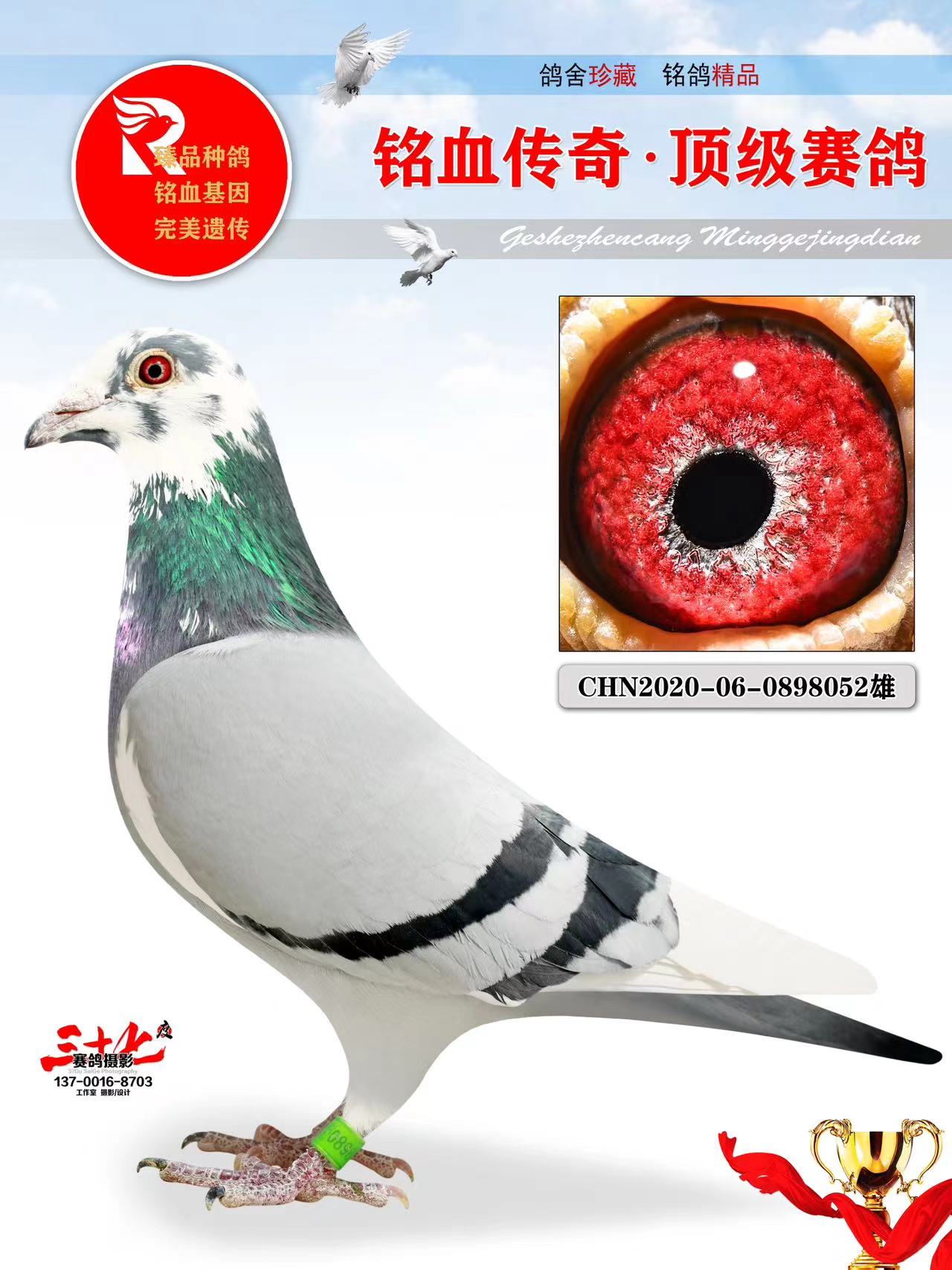 🥀2026🎱世界杯🐔让球开户🚭英格斯大恩号信鸽 🏆hg08体育38368·CC🎁 